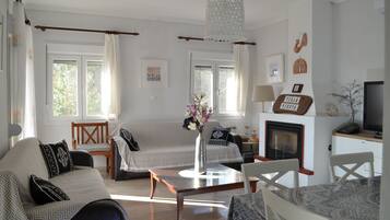 TV layar datar, perapian, dan pemutar DVD