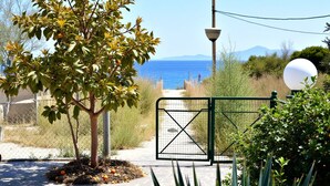 A paved pathway leading to a gated entrance with a tree and a lamp post.
