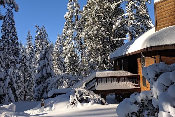 Epic snow during February 2019!