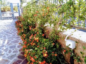 Exterior - B&B Il Giardino dei Glicini (Ercolano)