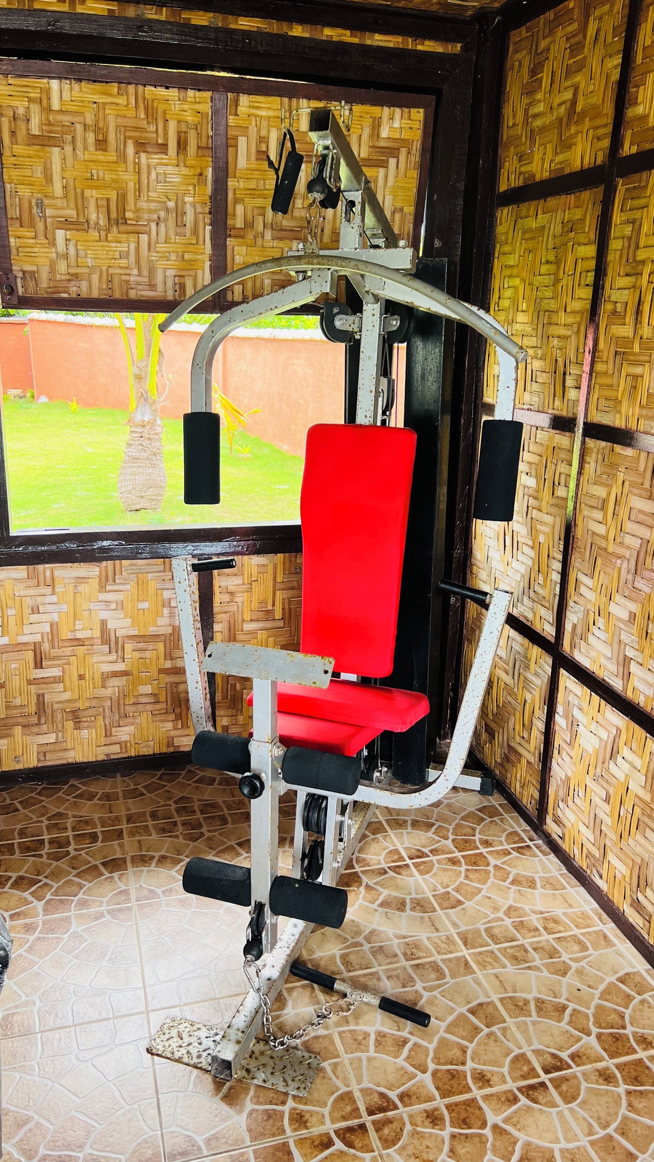 A gym with a red exercise machine, a window with a view of greenery, and a patterned wall.