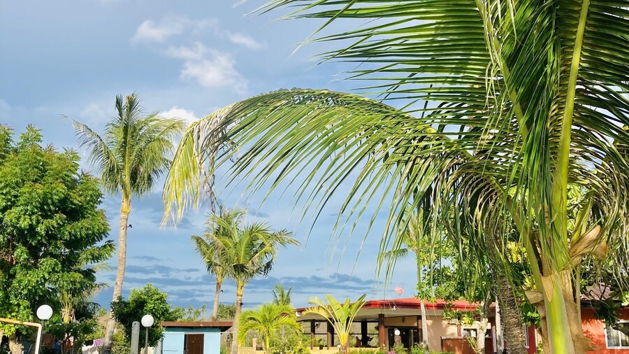 Cabilao Sunset Dive & Beach Resort