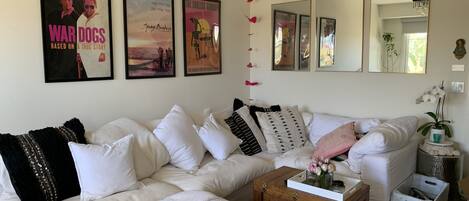 TV, fireplace, books, music library