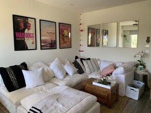 TV, fireplace, books, music library