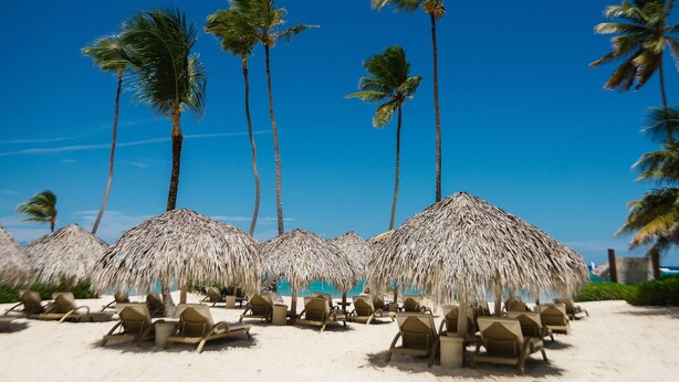 A beach with thatched umbrellas and lounge chairs, palm trees, and a clear blue sky. - Villa Fortuna Iberostar, private pool,  Bavaro beach, golf club, Wi-Fi (bavaro)