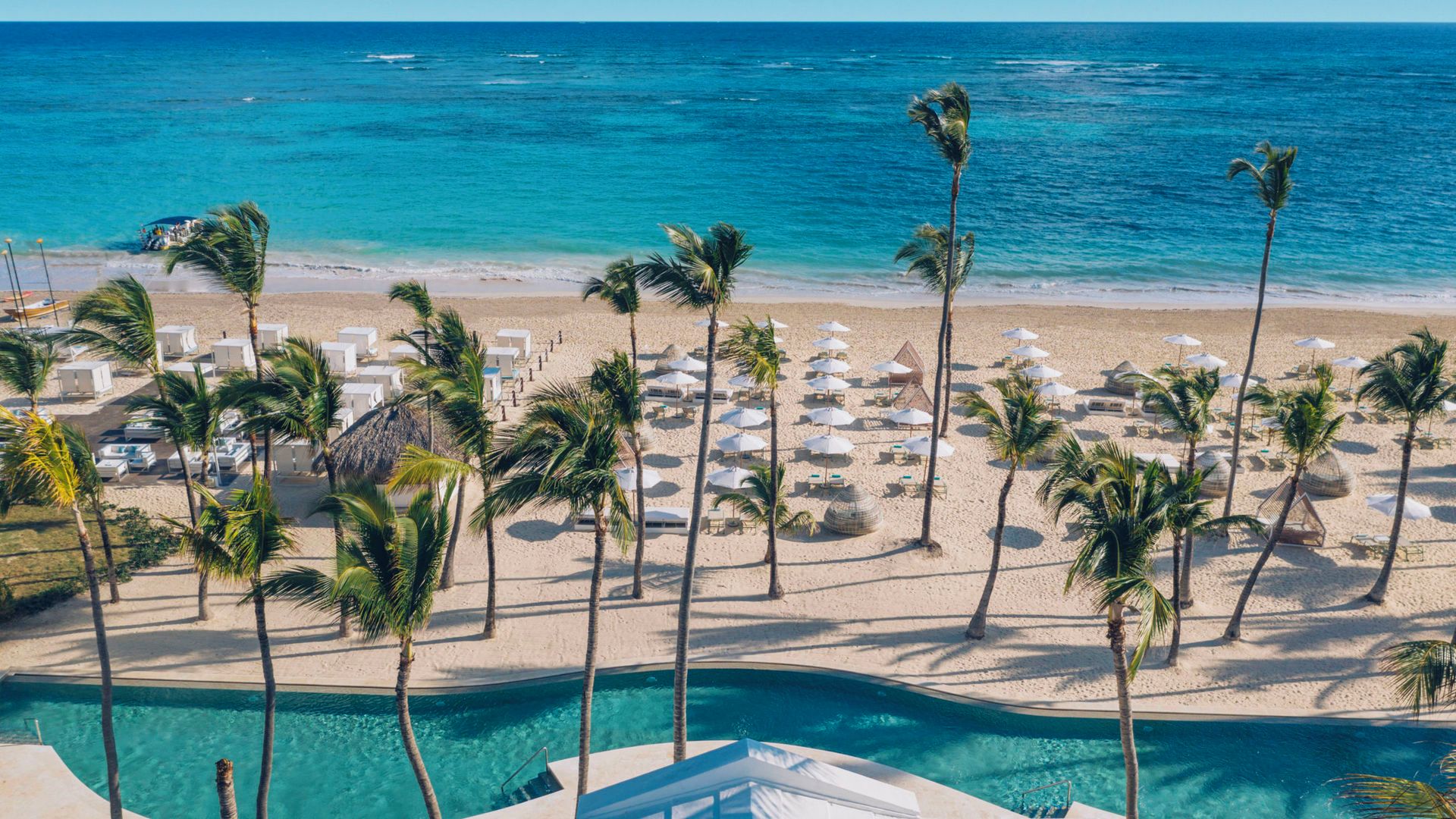 Un complexe hôtelier en bord de mer, doté d’une piscine, de palmiers et de parasols de plage.