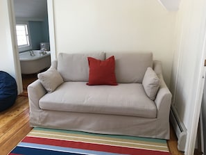 TV, books - Spacious Victorian, 5 minute walk to beach, town, and ferry in Oak Bluffs (Oak Bluffs)