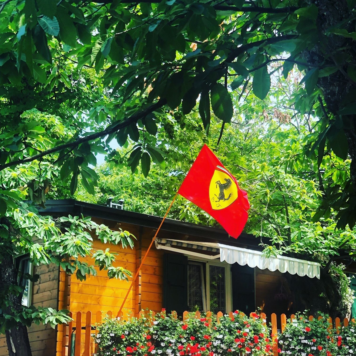 A wooden cabin with a red flag featuring a black lion emblem, surrounded by lush greenery and flowering plants.