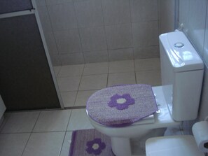 A bathroom with a toilet, a white toilet paper holder, and a purple mat with a flower design on the floor.