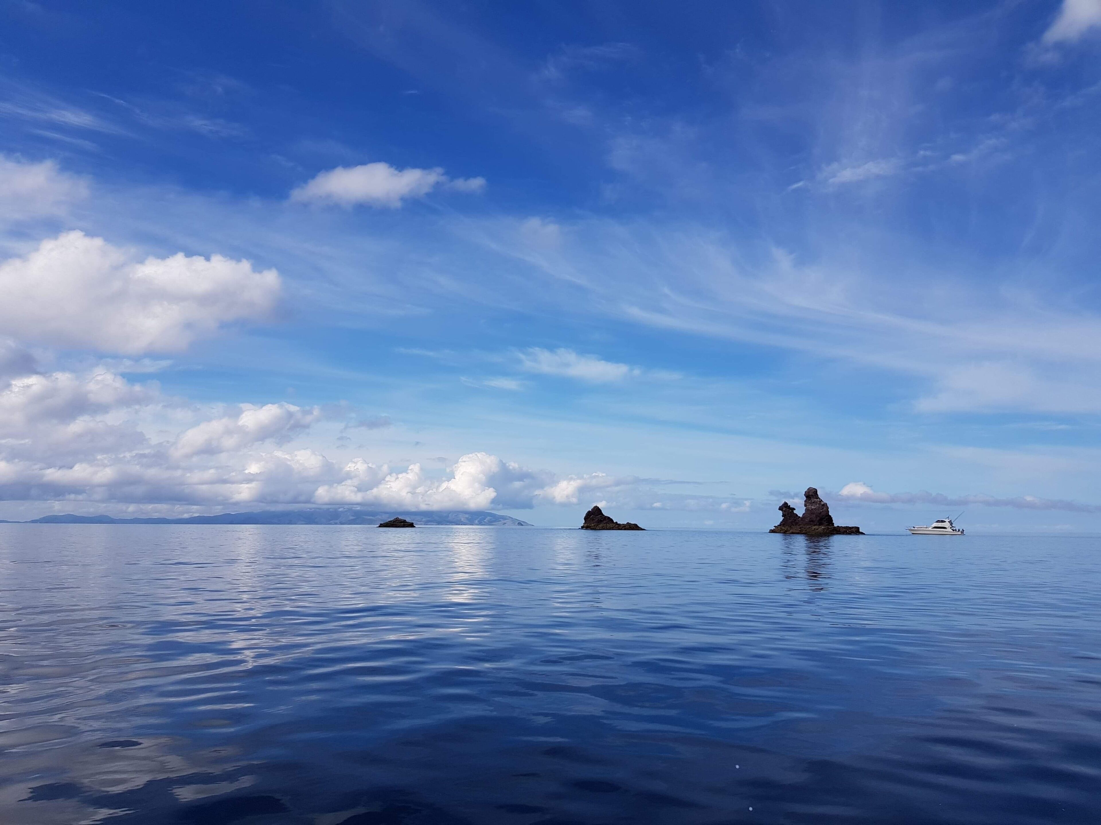 在海灘附近