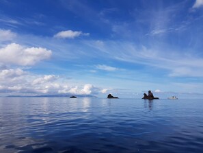 Beach nearby - 
Escape to paradise  with our exclusive holiday home .  your slice of paradise! (Great Barrier Island)