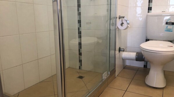A bathroom with a glass shower enclosure, a toilet, and a roll of toilet paper on the wall.