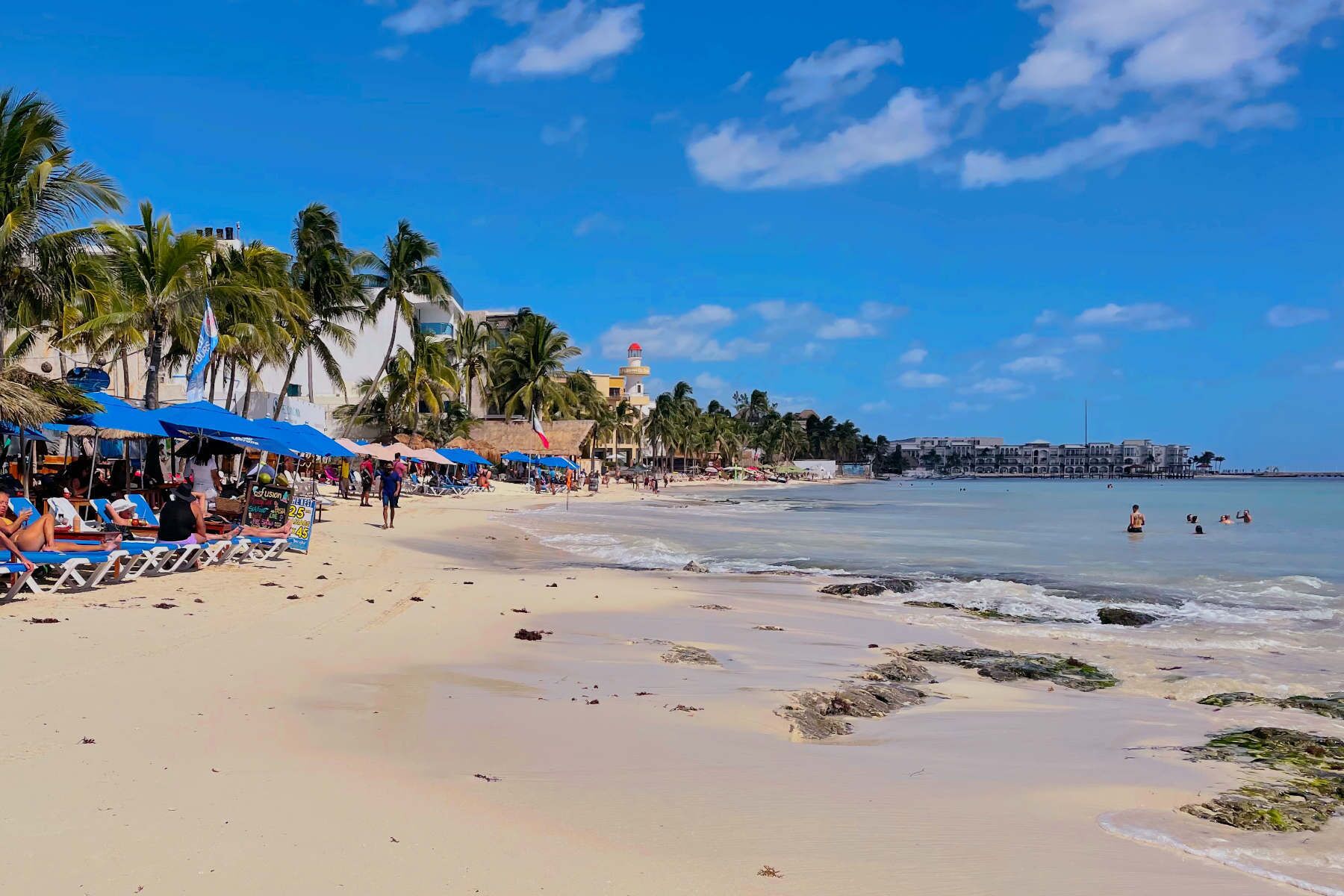 Una playa con tumbonas, palmeras y un muelle al fondo.