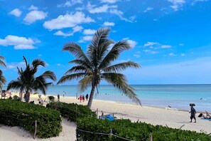 Playa en los alrededores y toallas de playa 