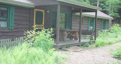 A Family Lodge in the woods with lake access
