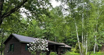 A Family Lodge in the woods with lake access