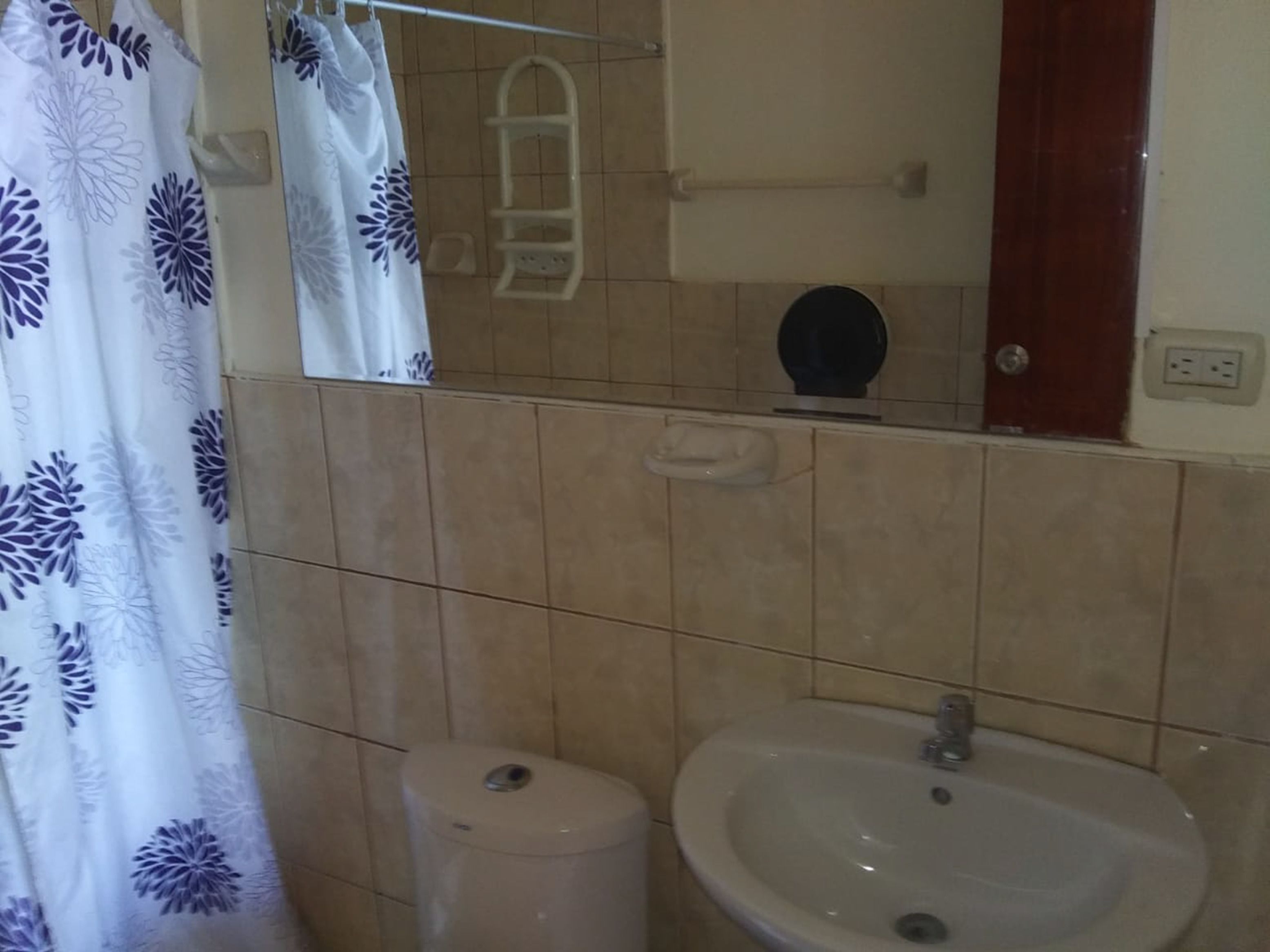 A bathroom with a toilet, sink, and a shower curtain.
