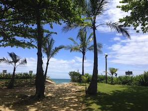 On the beach, sun-loungers, beach umbrellas - Casa Vivá  (São Paulo)