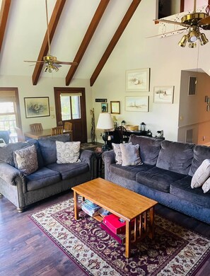 Smart TV, fireplace, DVD player - Bear's Rest, LONG RANGE MNT VIEWS! BIG COMFY DECK (Brevard)