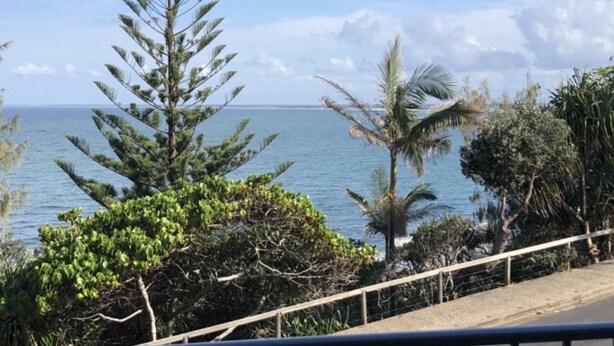 A coastal view with a wooden railing, trees, and the sea.