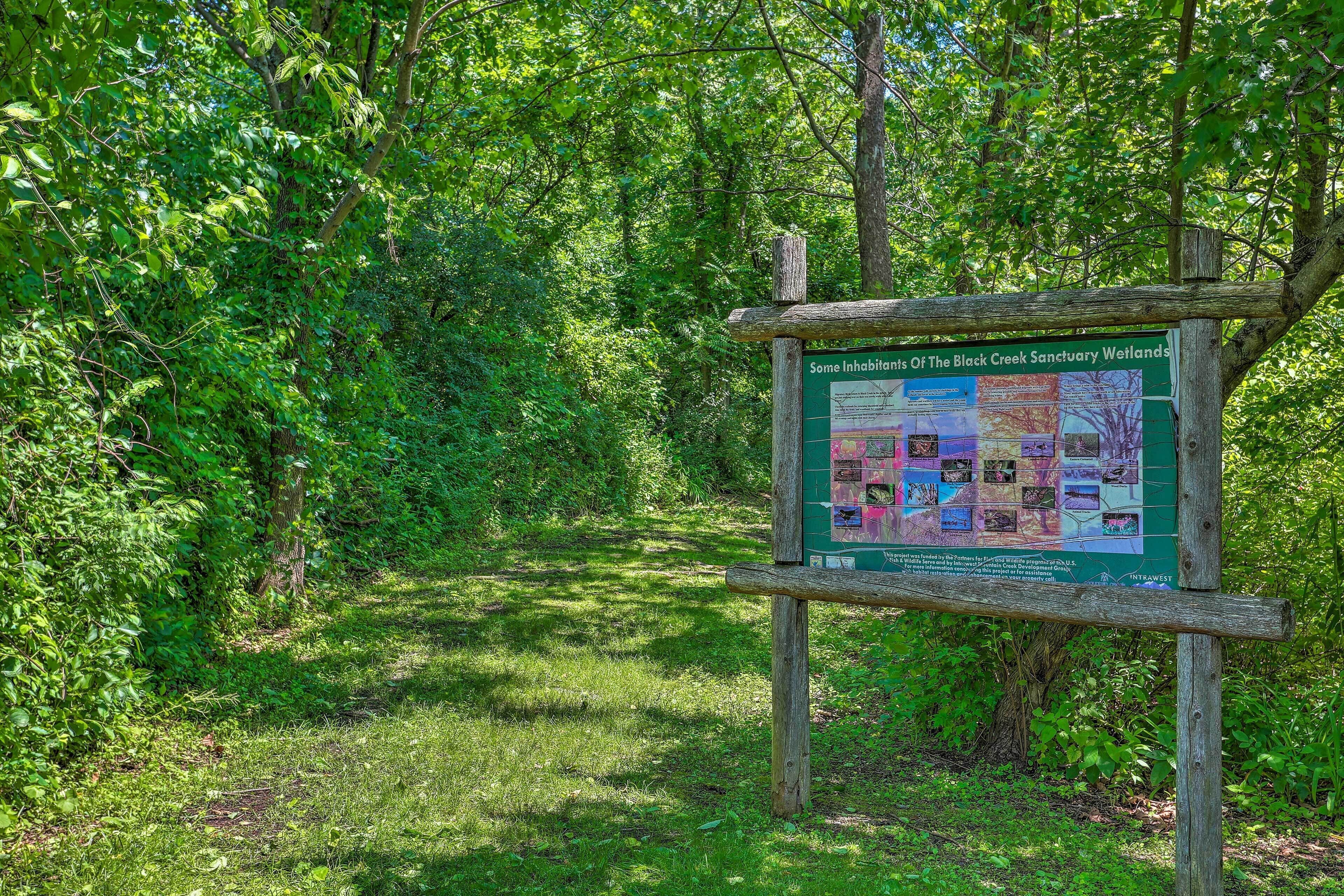 A signboard in a forested area with a map and information about the Black Creek Sanctuary Wetlands.
