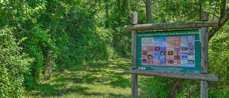 A signboard in a forested area with a map and information about the Black Creek Sanctuary Wetlands.