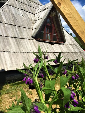 Détail de l’extérieur