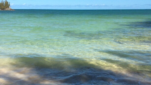 A beach with clear water and a sandy shore.