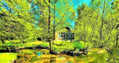 Beach Side Vibes ★ vaiheet 2 Bay ★ 3mi. Downtown ★ Lemmikit Tervetuloa!