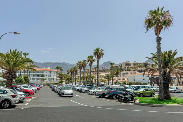 A parking lot with cars, palm trees, and buildings in the background.