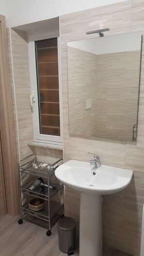 Shower, hair dryer, bidet, towels
