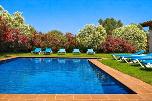 Une piscine rectangulaire à l’eau d’un bleu limpide, entourée de pelouse verdoyante et de divers arbustes en fleurs.