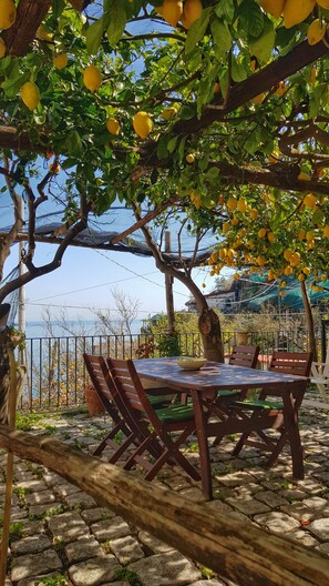 Outdoor dining - Lulu's Lemon Grove, vacation among the lemons! (Minori)