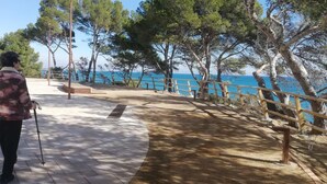 A paved walkway with a railing overlooking a body of water, surrounded by trees.