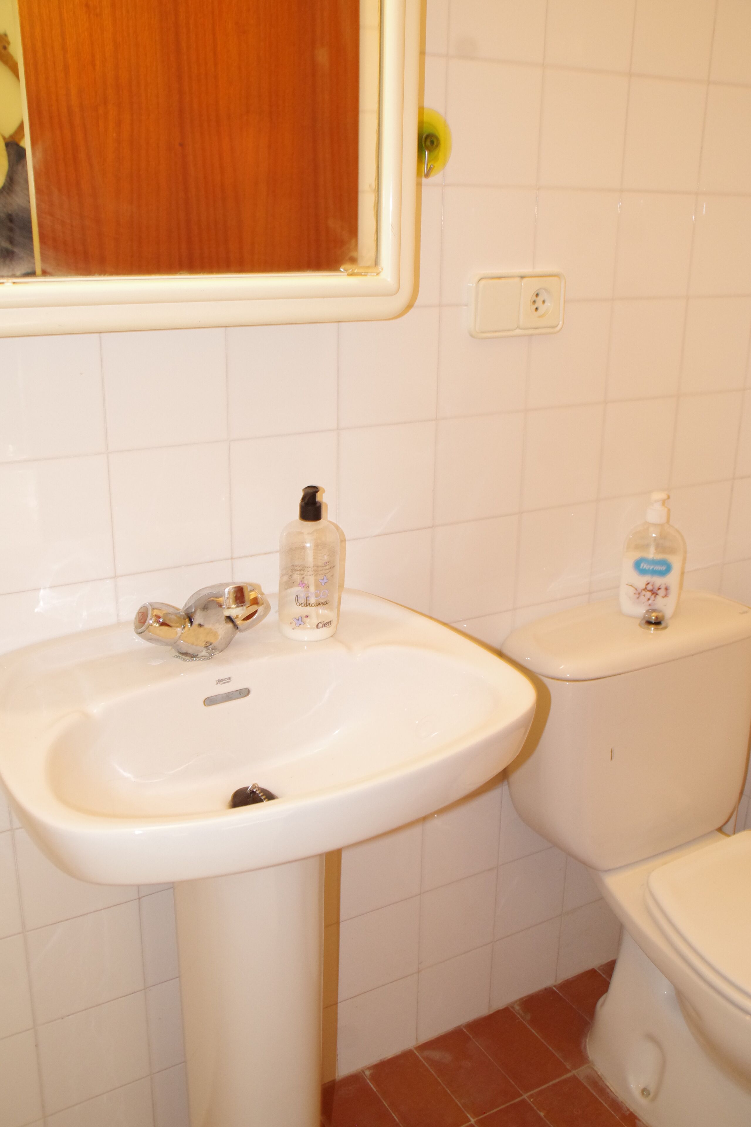 Un bany amb un lavabo blanc, un mirall i un vàter.