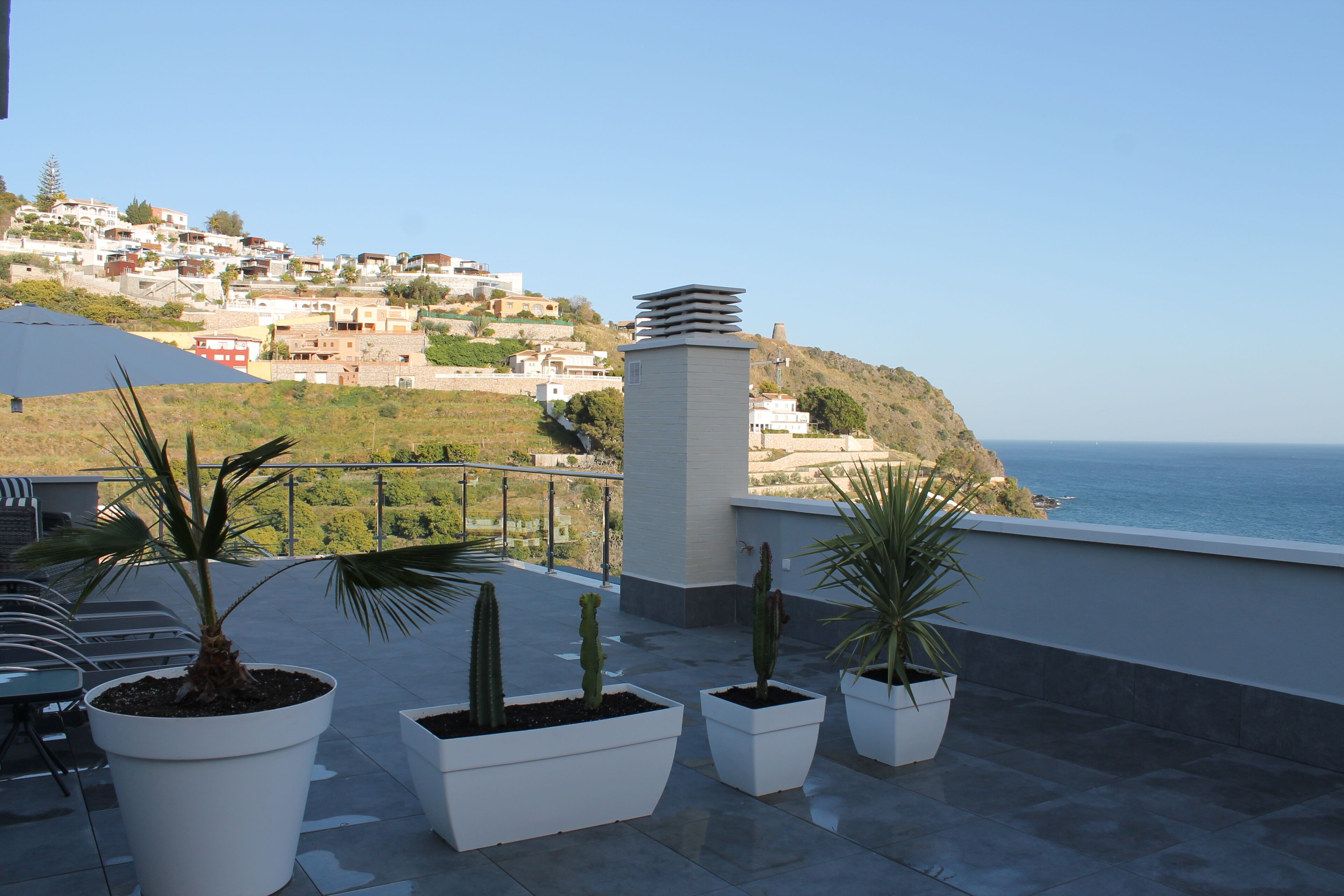 A rooftop terrace with potted cacti and a view of a coastal town.