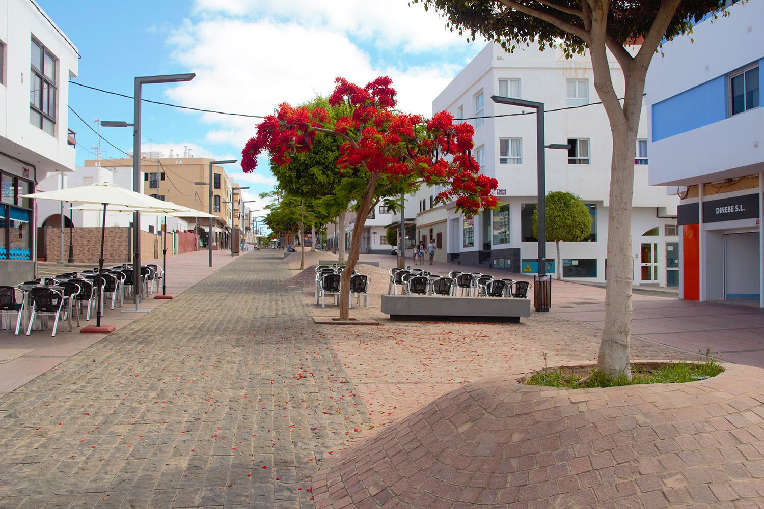 A paved street with outdoor seating, trees, and modern buildings.
