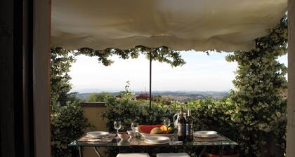 CHARMING APARTMENT IN THE MIDDLE OF TUSCANY WITH SWIMMING-POOL. WINE TASTINGS