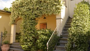 Ein Gebäude mit einer Treppe, einer Tür und einer üppigen, blühenden Ranke.