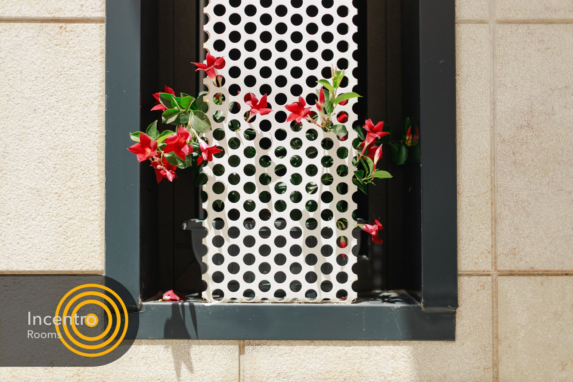 Foto - Incentro Rooms