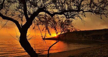 SA DOMIXEDDA, Costa Oeste de Cerdeña.