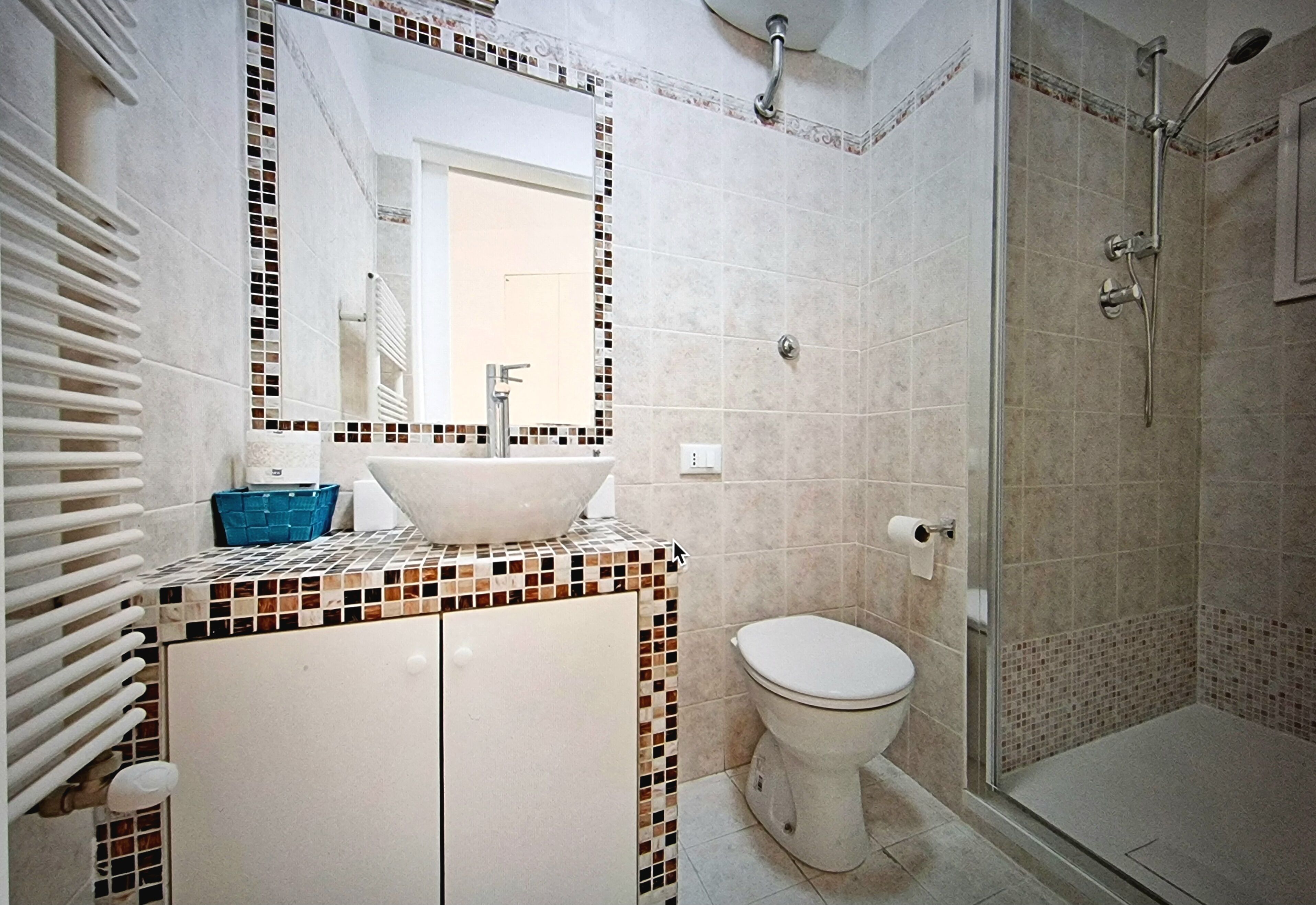 Hair dryer, bidet, towels, soap