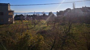 En vingård med rader av vinrankor och en byggnad i förgrunden.
