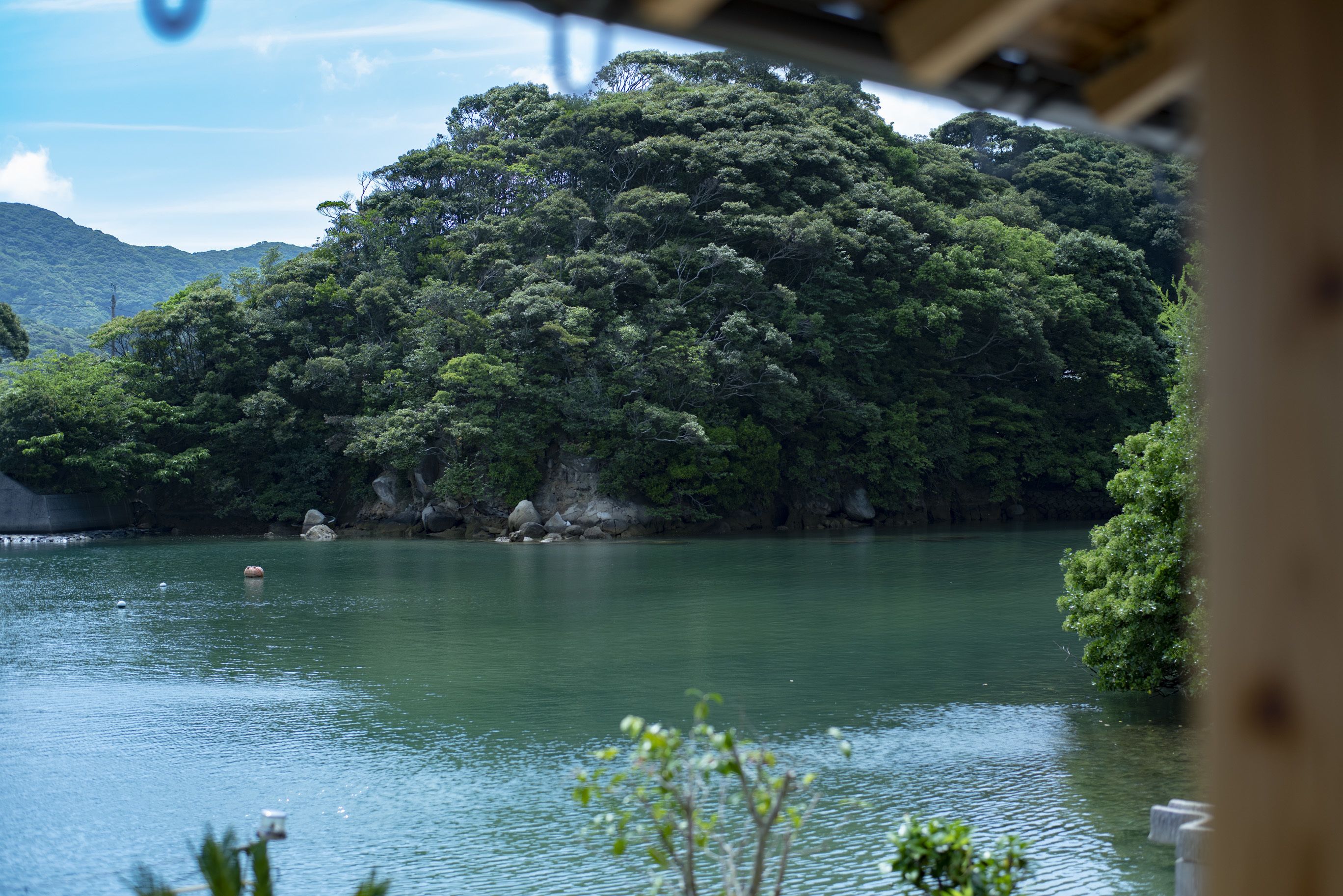 A view of a lake surrounded by dense forest and hills.