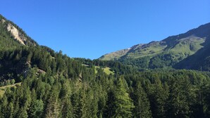 A mountainous landscape with dense forests and clear blue skies. - Holiday house sunny and rustic, 2-8 P, in Val Poschiavo (Poschiavo)