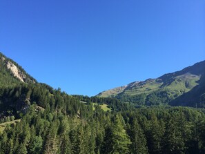 A mountainous landscape with dense forests and clear blue skies.