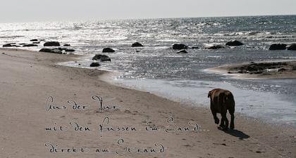 DIRECTLY ON THE BALTIC SEA, bungalow for 5 persons, pets welcome, eastern-algae
