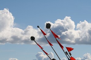 スノー スポーツとスキー