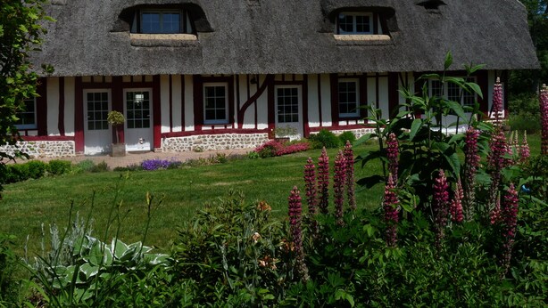 A traditional thatched-roof house with a stone foundation, multiple windows, and a well-maintained garden with flowering plants. - ---- The cottage --- (ST LEGER DE ROTES)