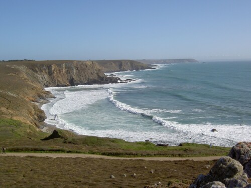 Wooden chalet, sea view, lovely garden, 5-minute walk to the beach. Dogs welcome.